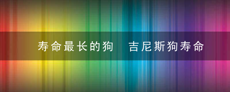 寿命最长的狗 吉尼斯狗寿命最长的狗